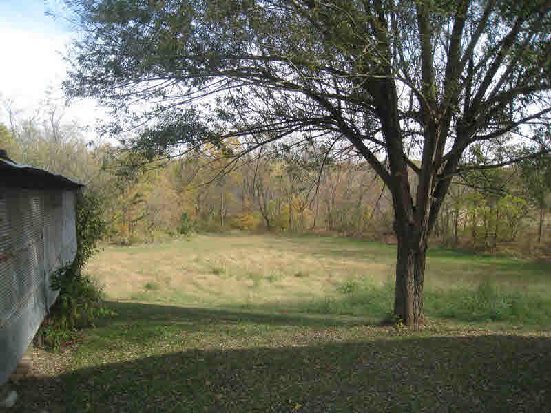 3450 Kaolin Road Cobden, IL 62920 - Photo 20 of 21 Gallery Image 20