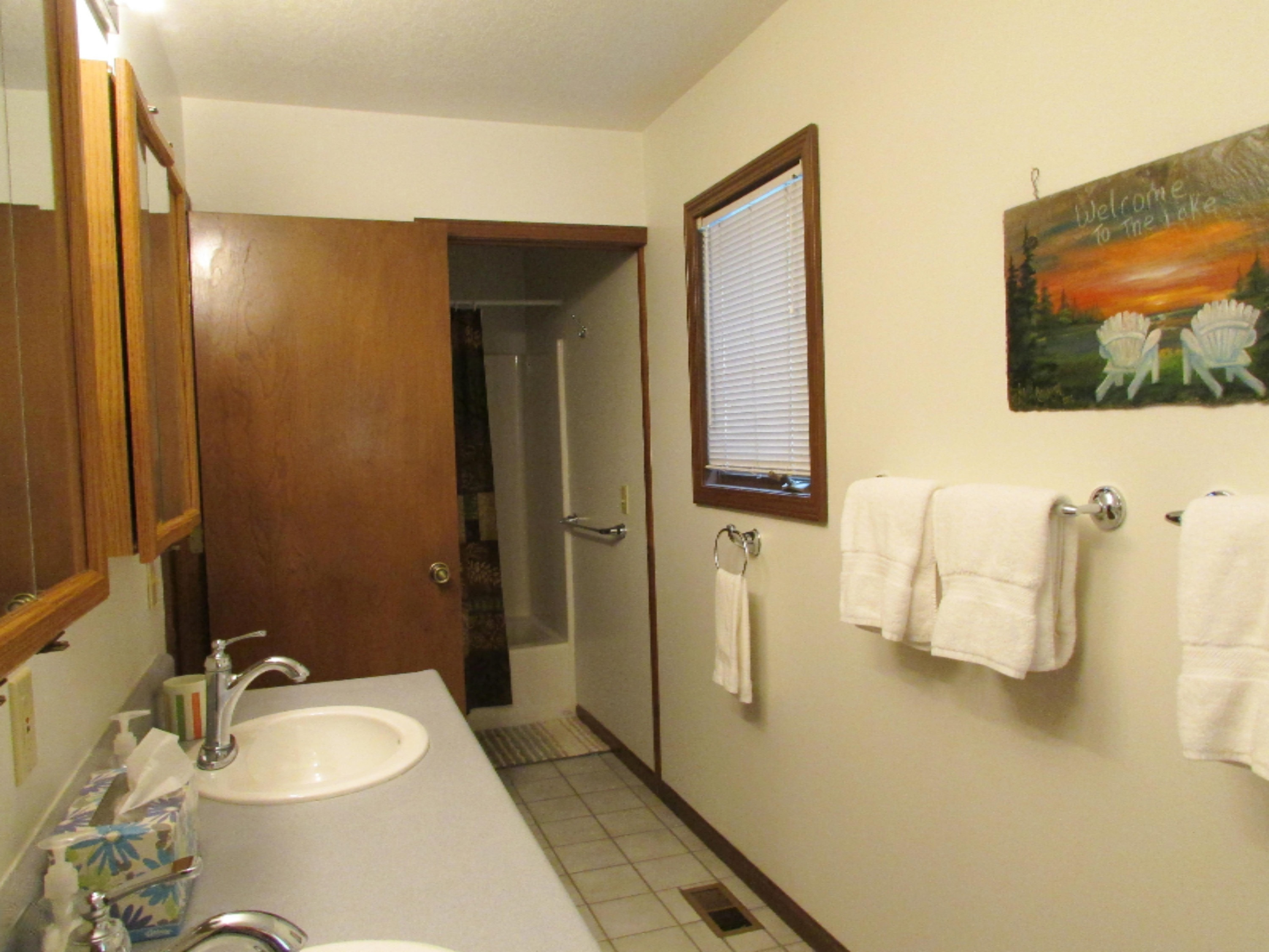 475 Iyopawa Road Coldwater, MI 49036 - Photo 13 of 38 IMG_9096