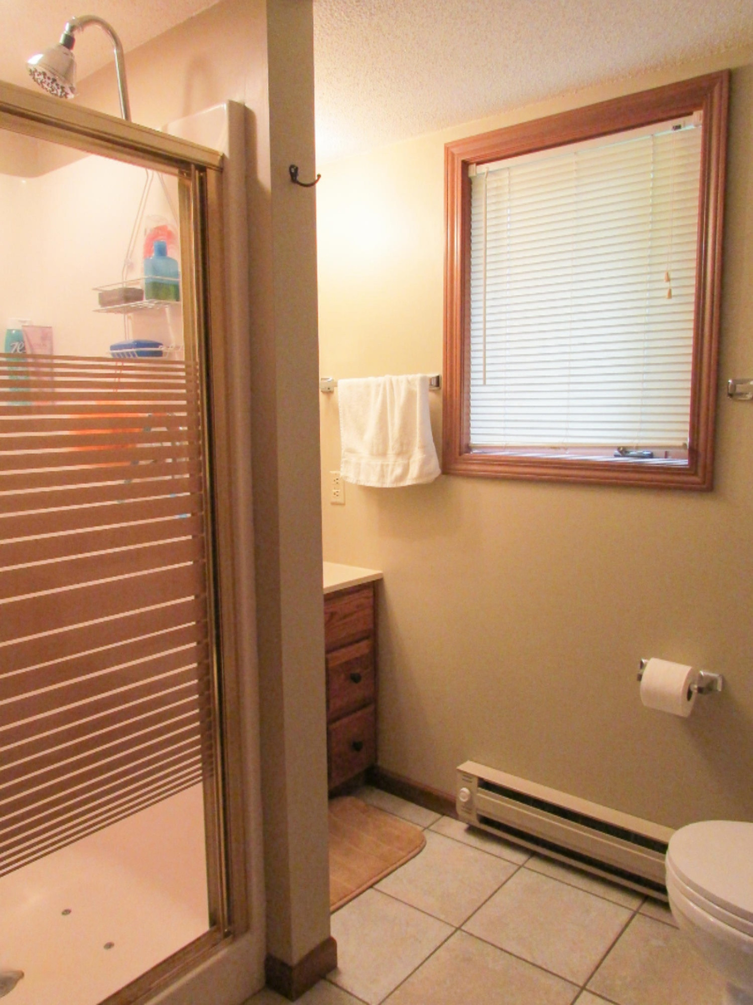 475 Iyopawa Road Coldwater, MI 49036 - Photo 23 of 38 IMG_9114