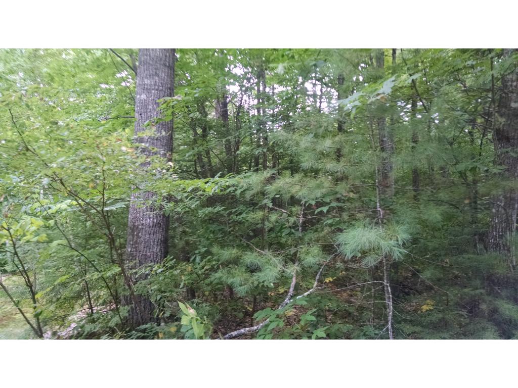 Union Hill Road, Unit 20C Stow, ME 04037 - Photo 3 of 6