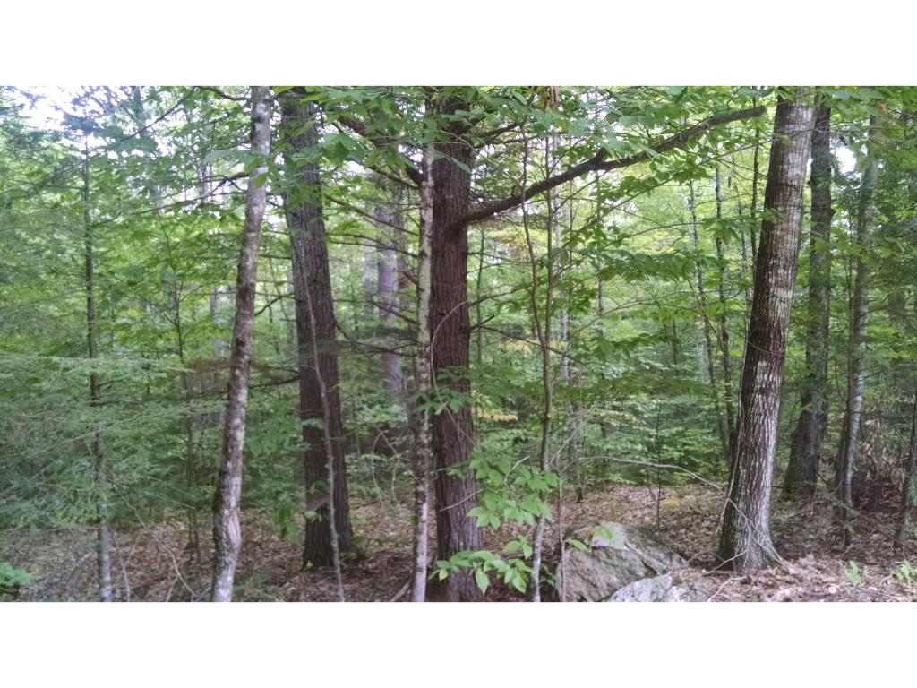 Union Hill Road, Unit 20C Stow, ME 04037 - Photo 4 of 6