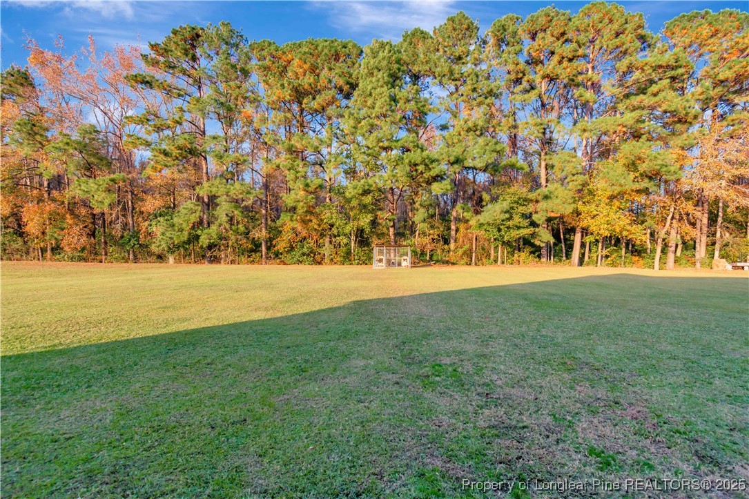 7453 7th Street Road Lumberton, NC 28358 - Photo 37 of 37 a view of yard with an outdoor space