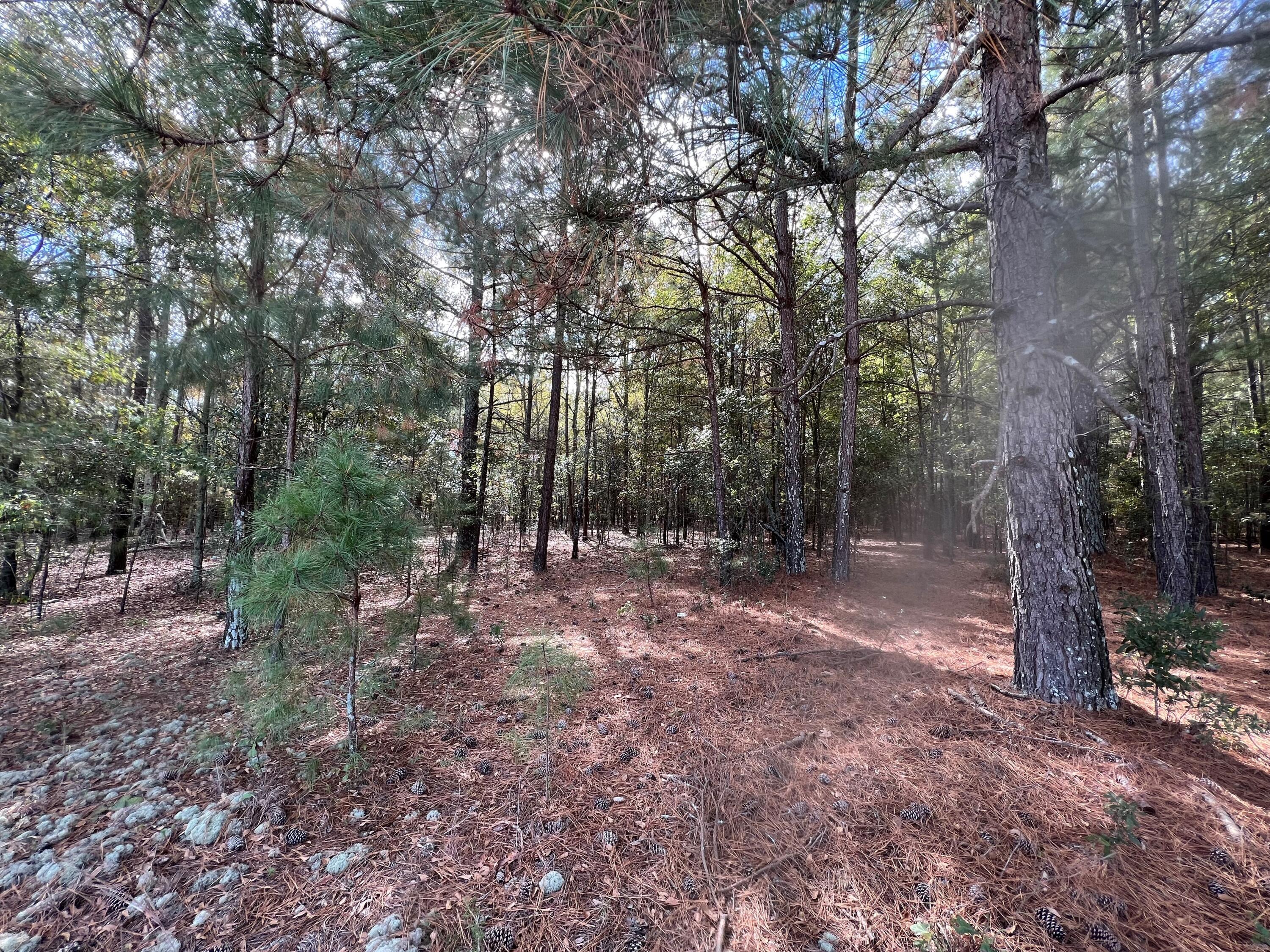 L5 Redbank Street, Unit 5 Wagener, SC 29164 - Photo 4 of 13