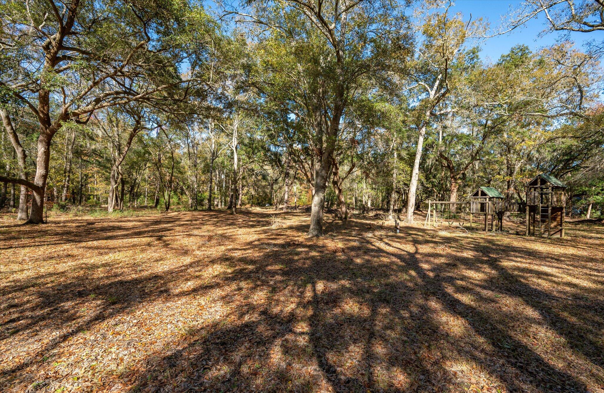 3788 Benjamin Road Johns Island, SC 29455 - Photo 13 of 17 36-Benjamin_e_Lowcountry_Exposure-12