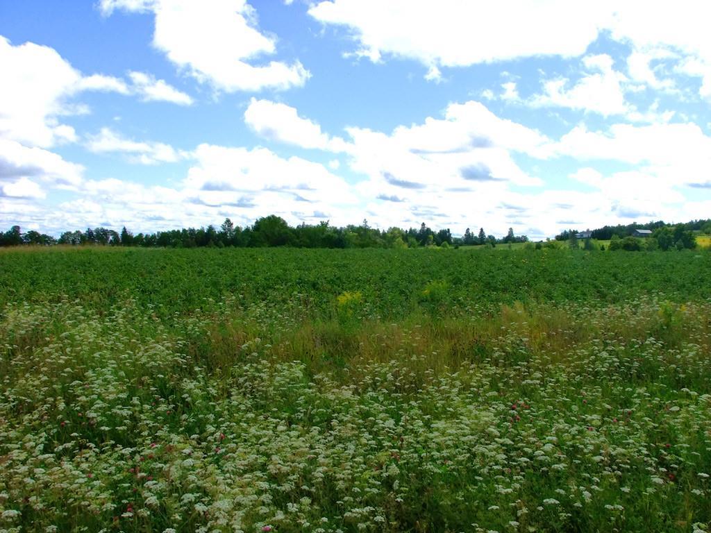 843 Front Ridge Road Littleton, ME 04730 - Photo 26 of 35 Photo