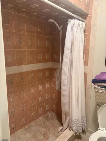 a bathroom with a shower and a toilet