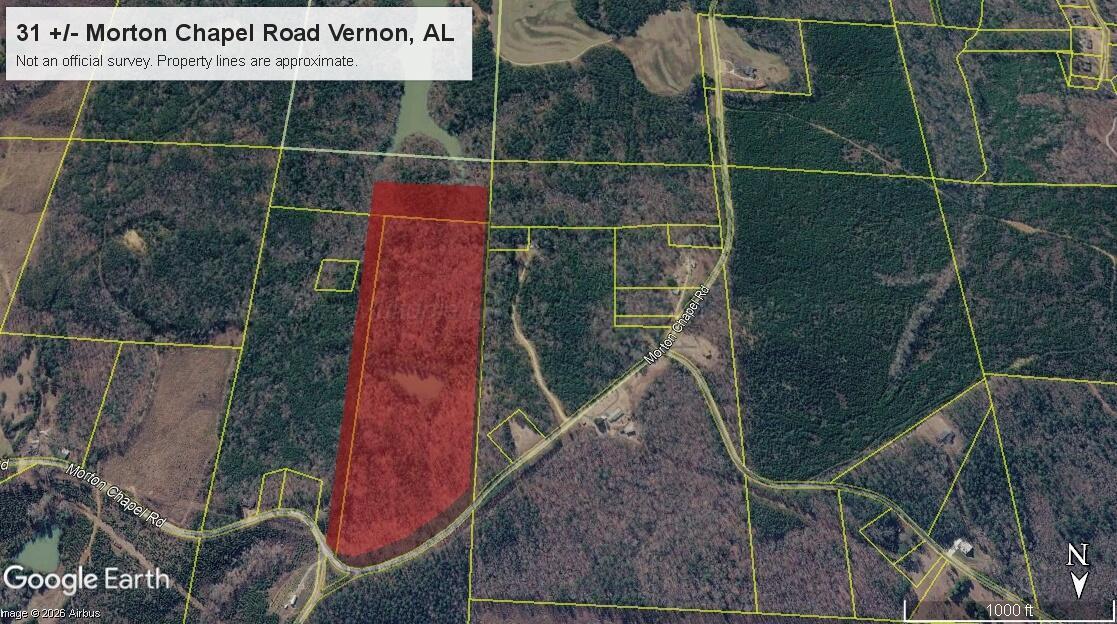 0 Morton Chapel Road Vernon, AL 35592 - Photo 10 of 10 Gallery Image 10