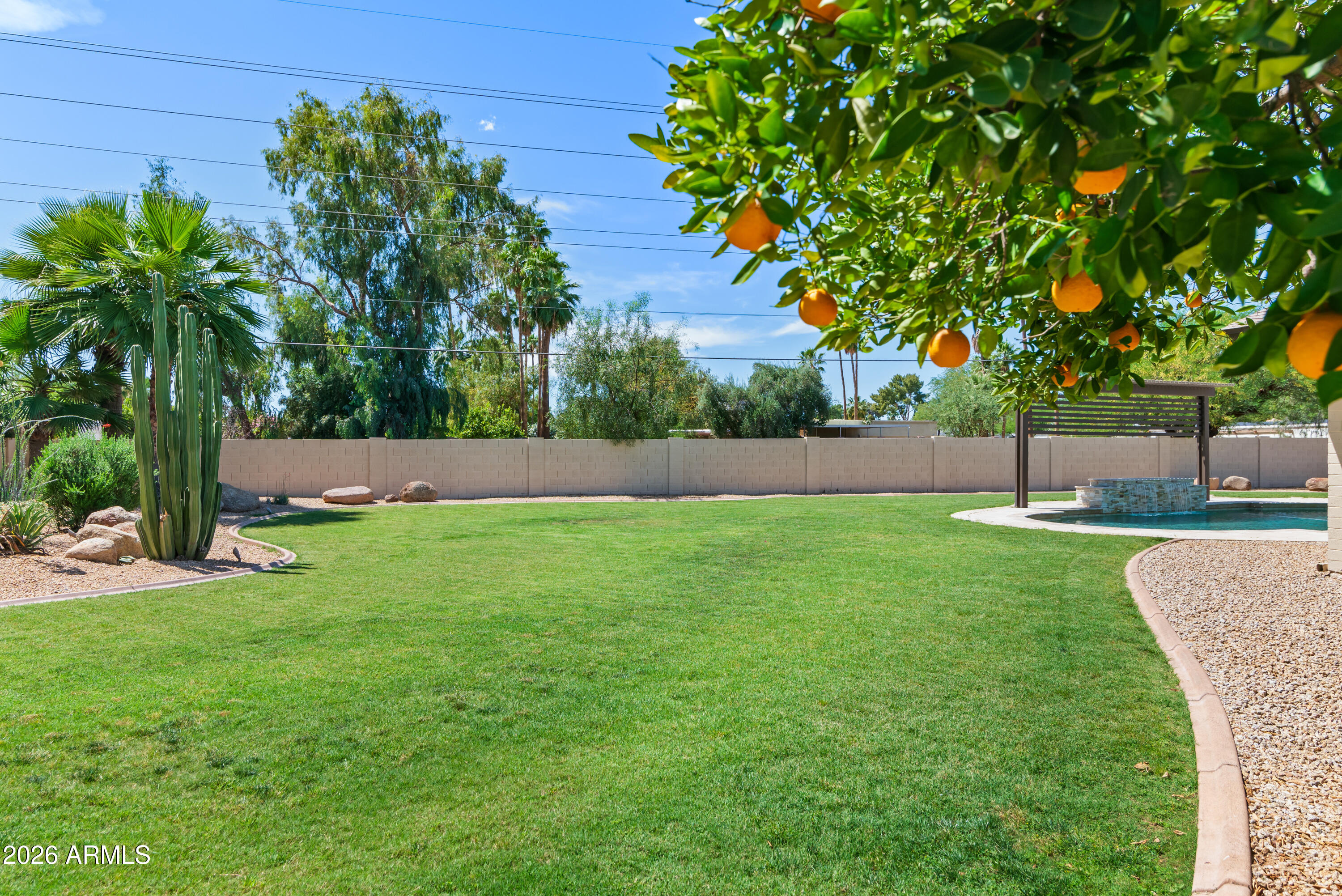 5601 East Charter Oak Road Scottsdale, AZ 85254 - Photo 47 of 56 Citrus Trees