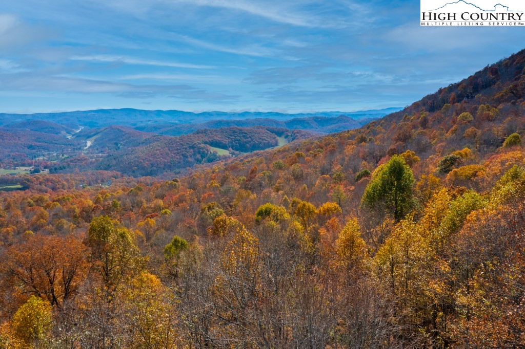 Lot Bj Big Tree Road West Jefferson, NC 28694 - Photo 23 of 27 Gallery Image 23