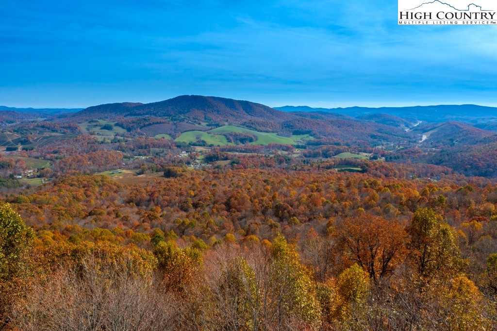Lot Bj Big Tree Road West Jefferson, NC 28694 - Photo 24 of 27 Gallery Image 24