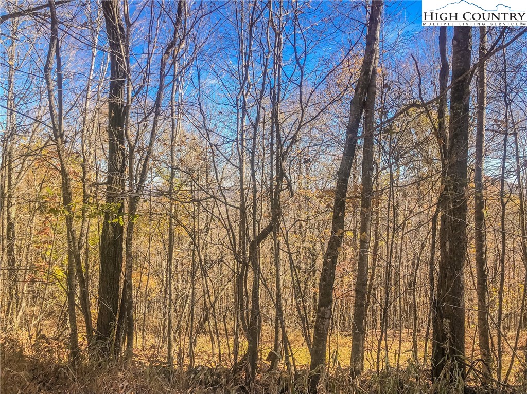 Lot Bj Big Tree Road West Jefferson, NC 28694 - Photo 6 of 27 Gallery Image 6