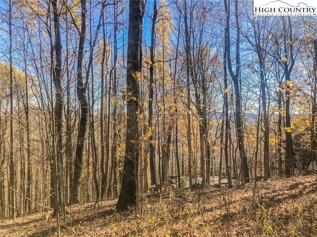 Lot Bj Big Tree Road West Jefferson, NC 28694 - Photo 8 of 27 Gallery Image 8
