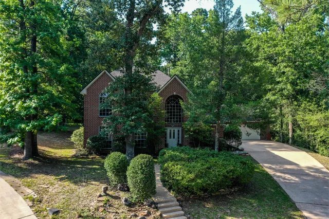 a view of a back yard