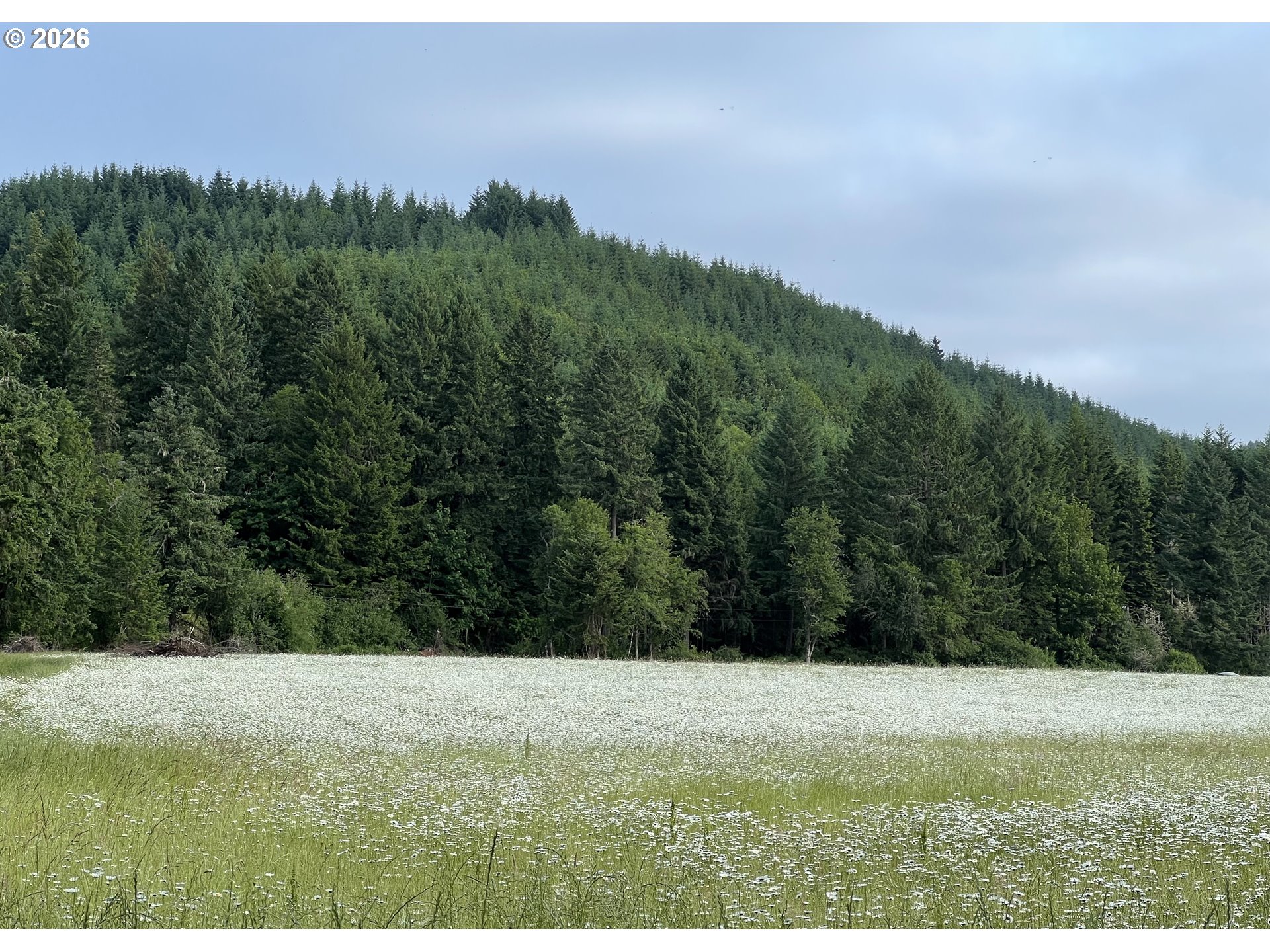 24218 Vaughn Road Veneta, OR 97487 - Photo 45 of 48