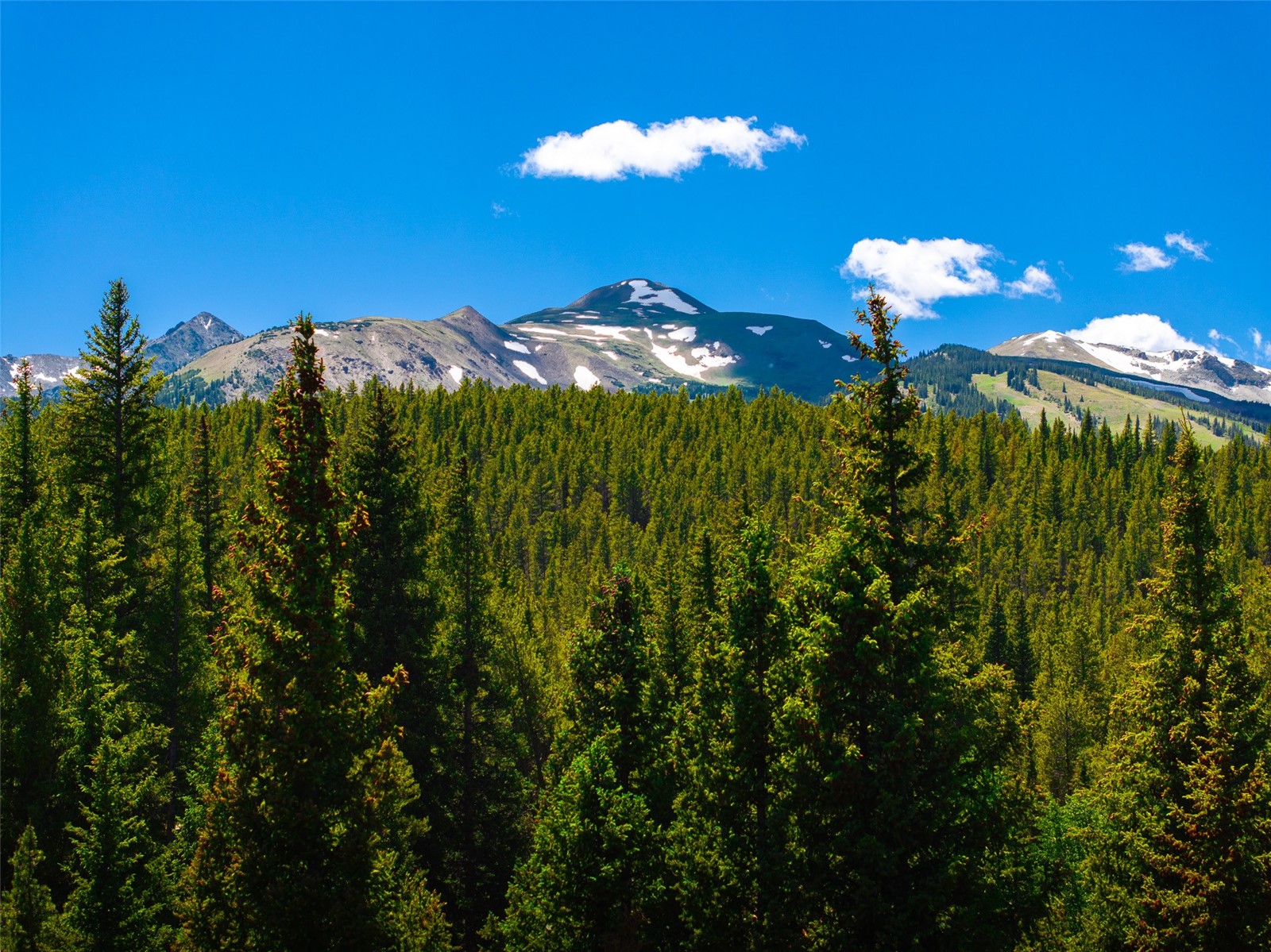 277 Wagon Road Breckenridge, CO 80424 - Photo 19 of 50