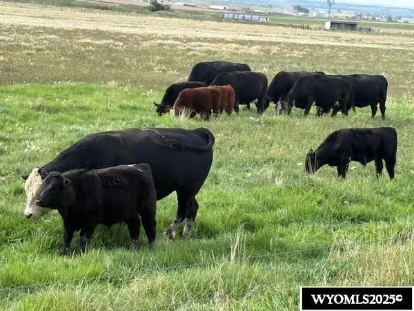 $725,000 | 90462 South Morrill Road, Morrill, NE 69358