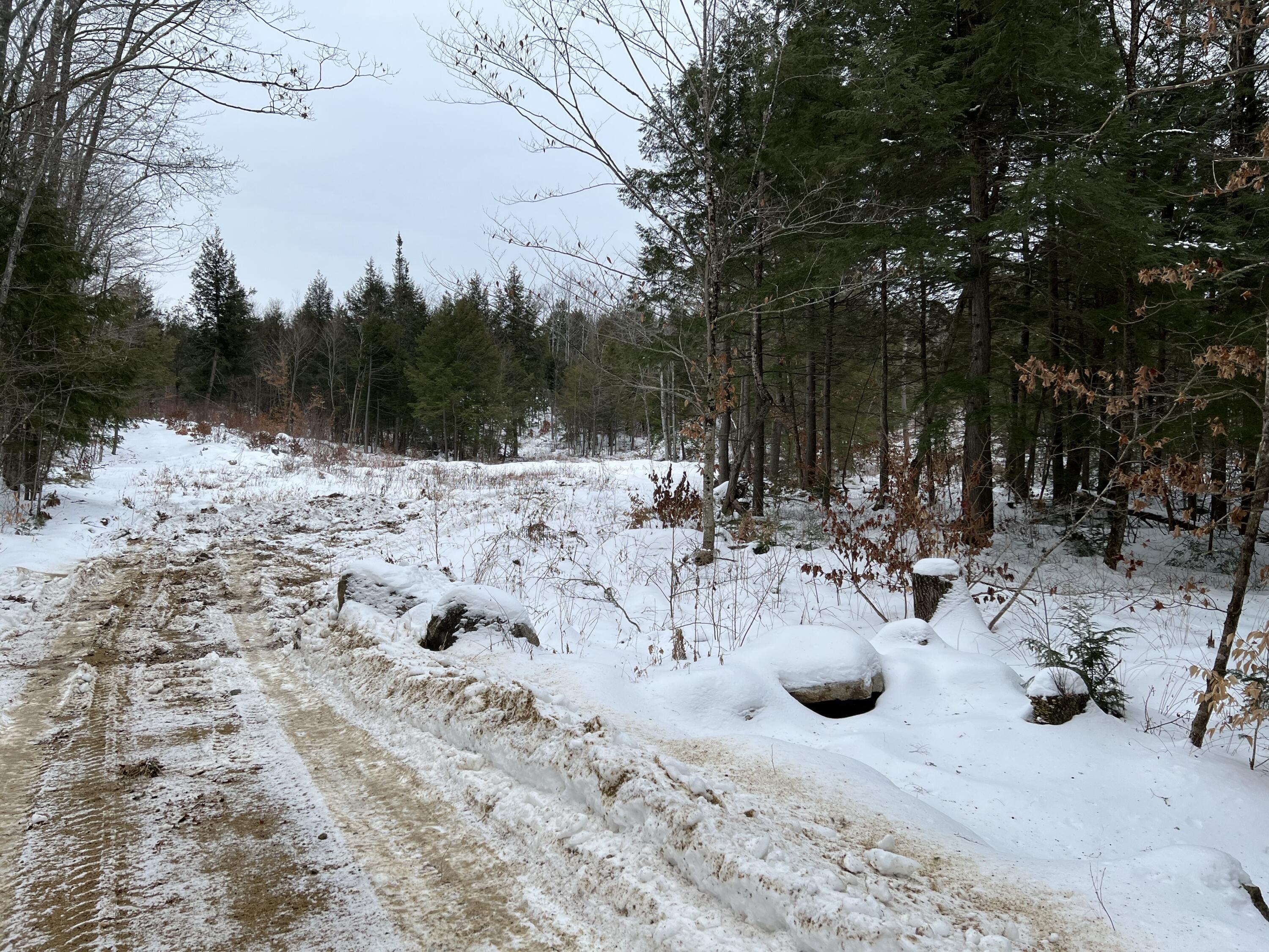 0 Swan Pond Road Hartford, ME 04220 - Photo 5 of 6 IMG-6127 (2)