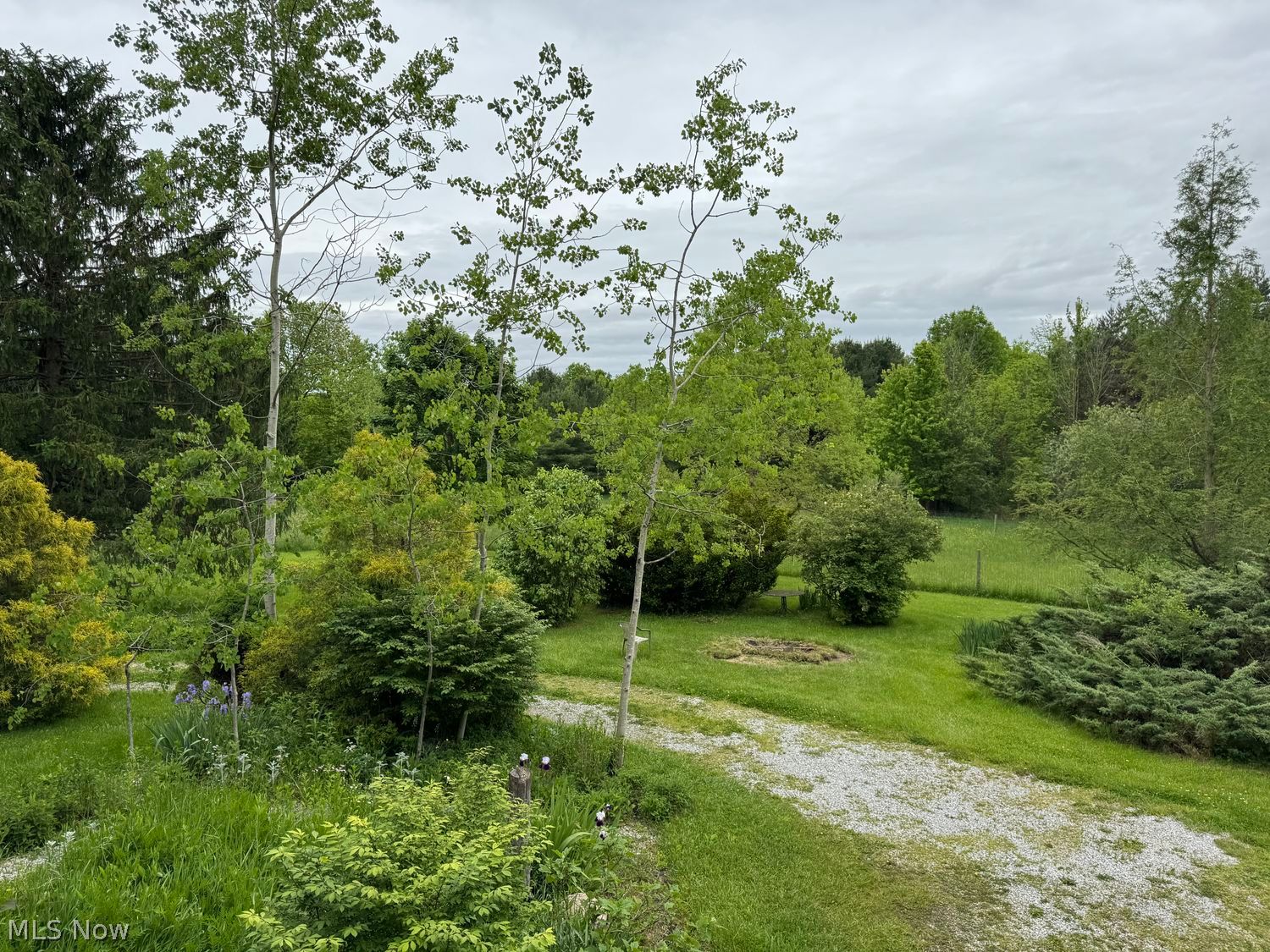 7950 Coon Club Road Medina, OH 44256 - Photo 21 of 29