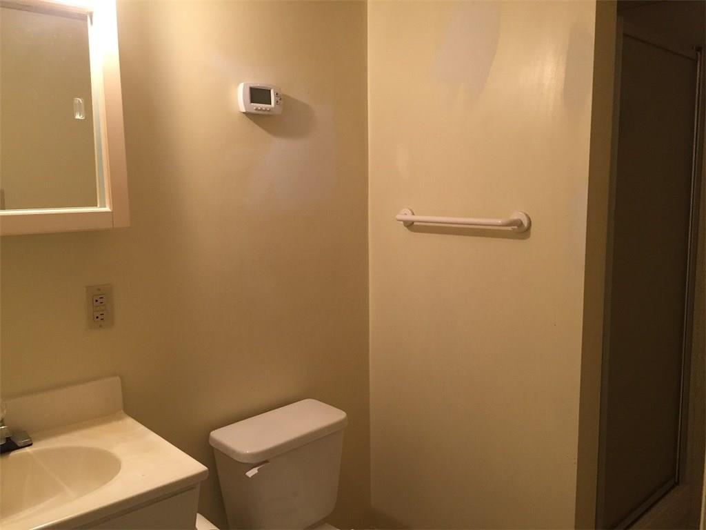 685 Pluto Road Ligonier, PA 15658 - Photo 16 of 25 Lower level full bath with shower