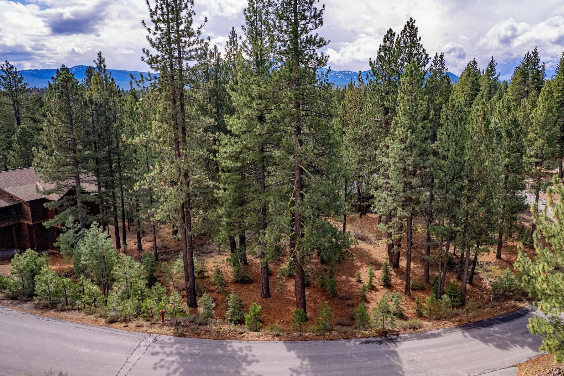 11301 China Camp Road Truckee, CA 96161 - Photo 11 of 23