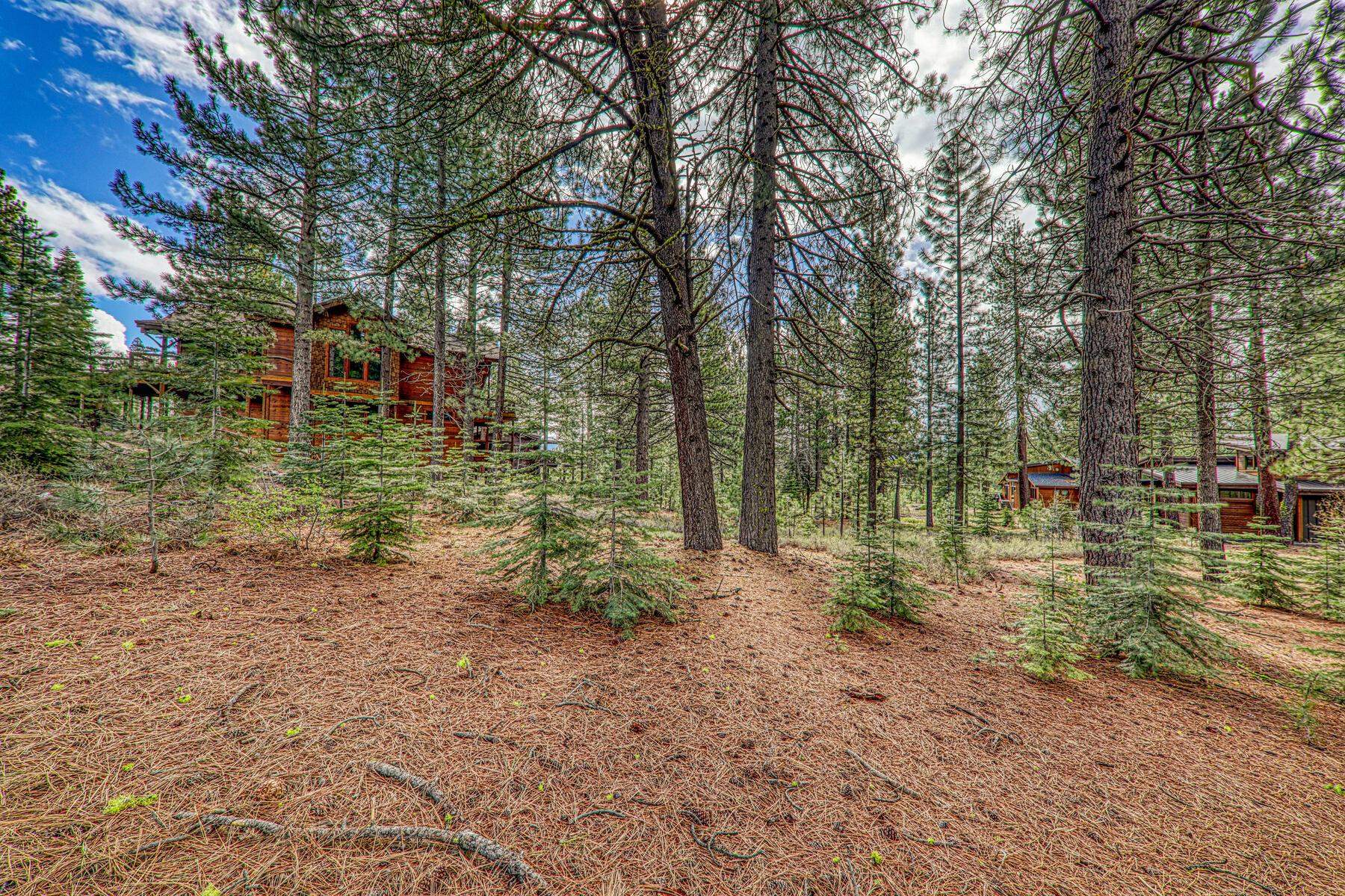 11301 China Camp Road Truckee, CA 96161 - Photo 12 of 23