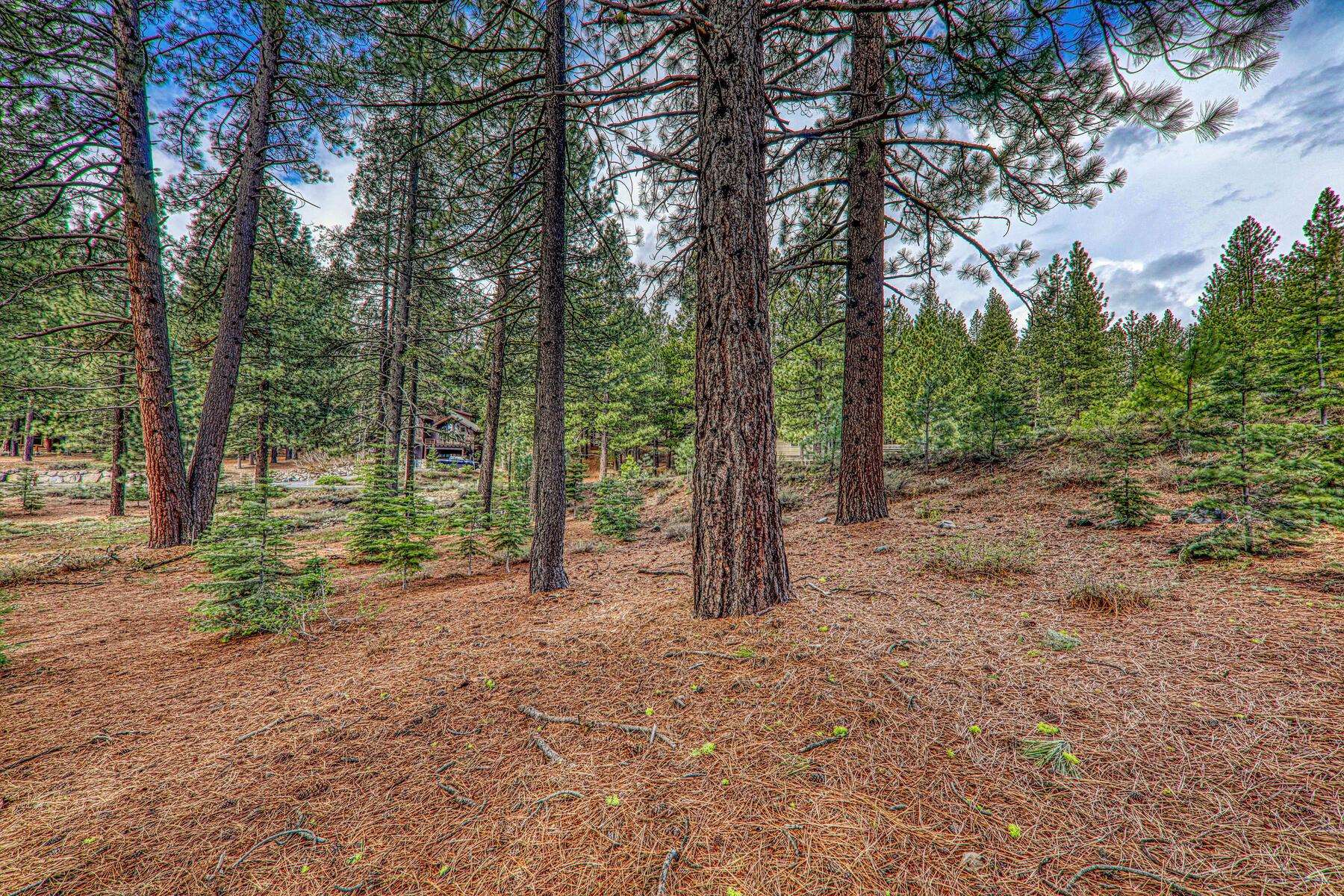 11301 China Camp Road Truckee, CA 96161 - Photo 13 of 23