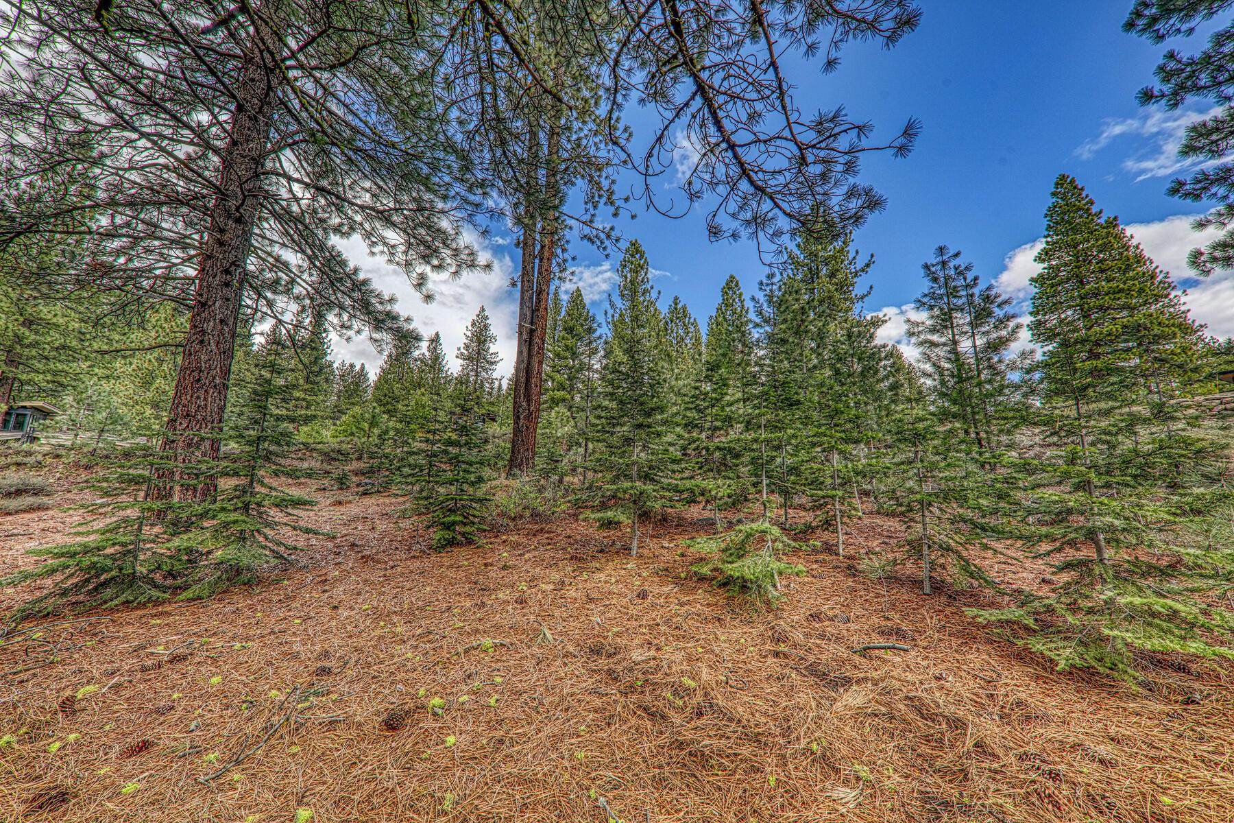11301 China Camp Road Truckee, CA 96161 - Photo 14 of 23