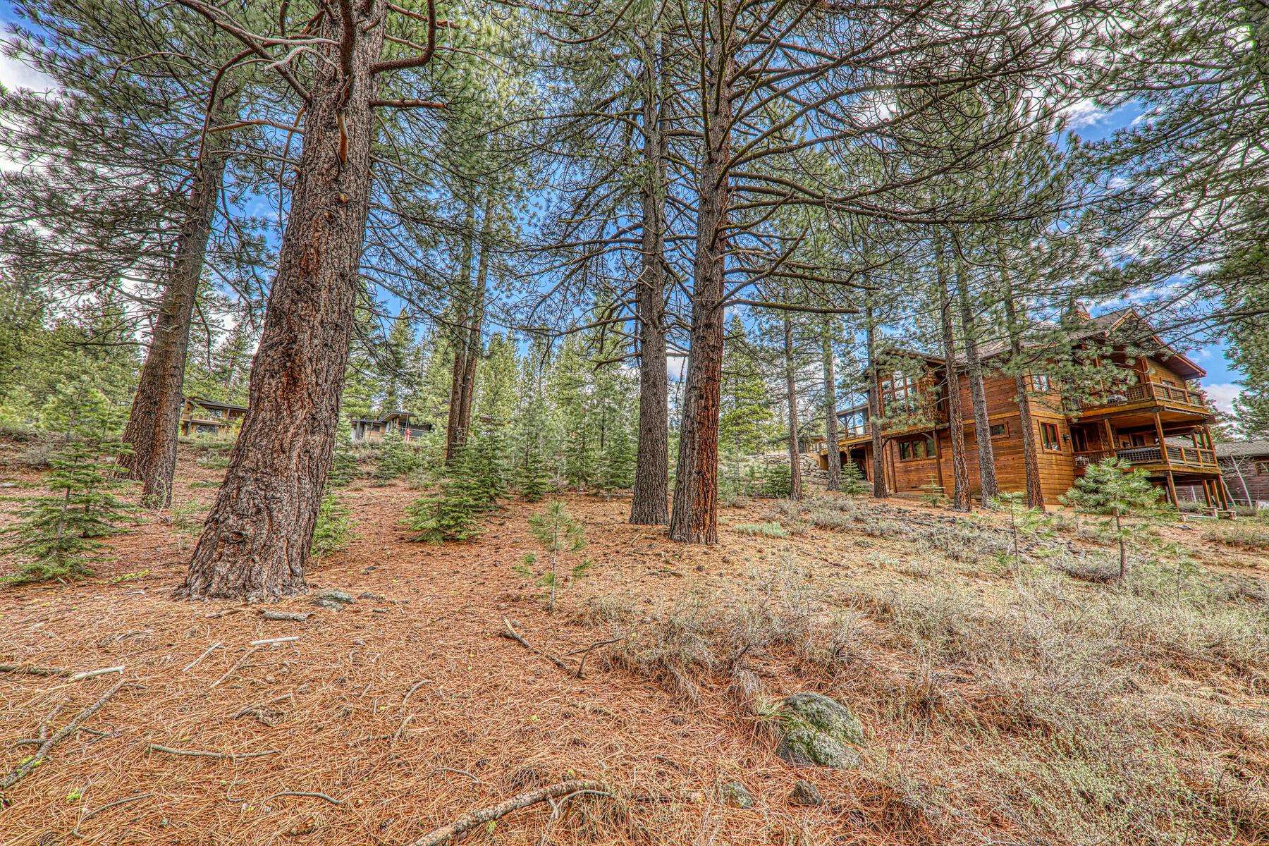 11301 China Camp Road Truckee, CA 96161 - Photo 15 of 23
