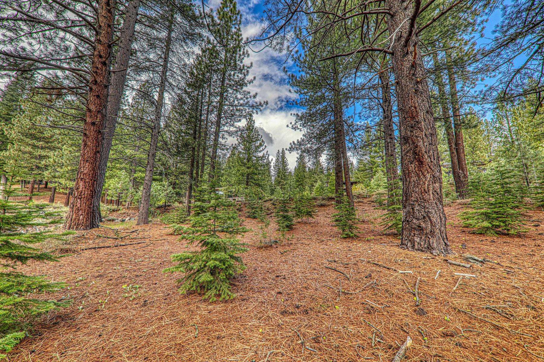 11301 China Camp Road Truckee, CA 96161 - Photo 16 of 23