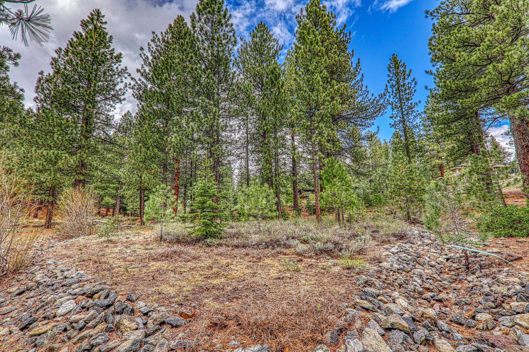 11301 China Camp Road Truckee, CA 96161 - Photo 17 of 23
