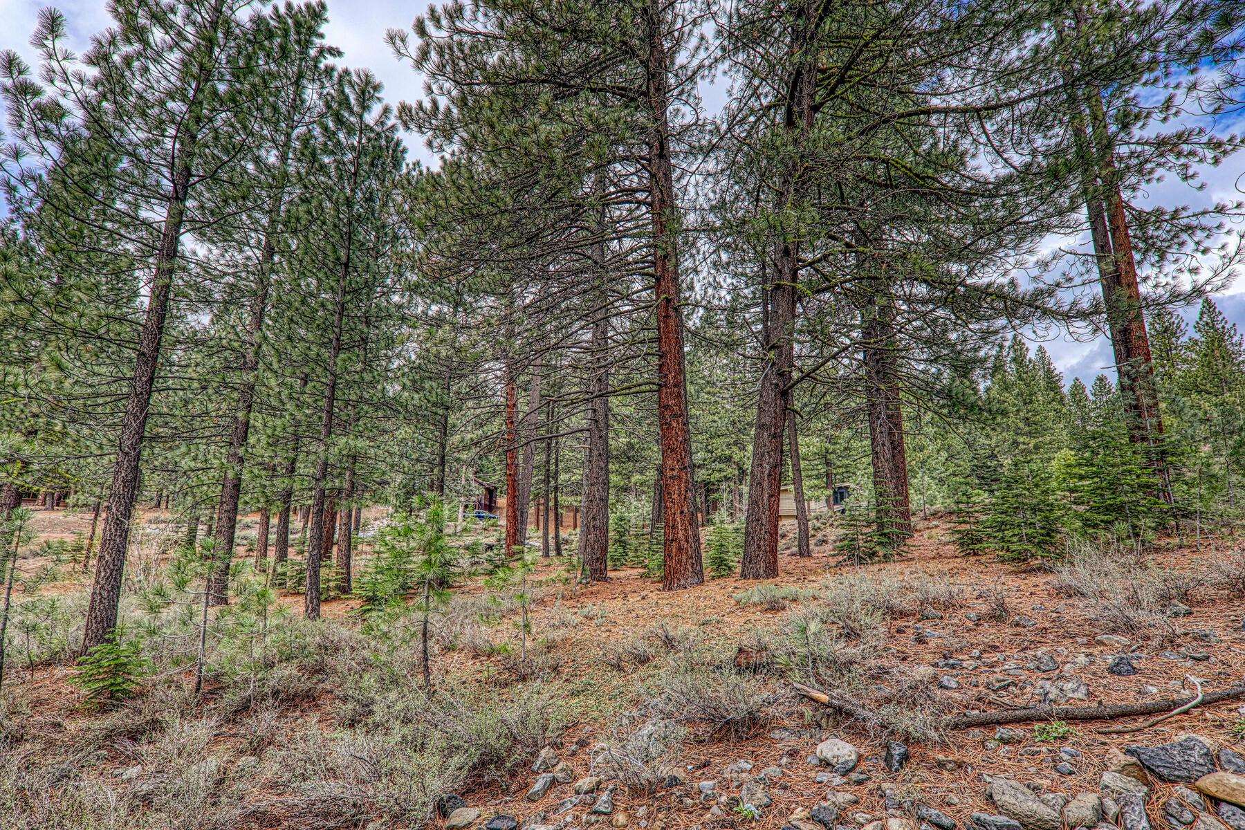 11301 China Camp Road Truckee, CA 96161 - Photo 18 of 23