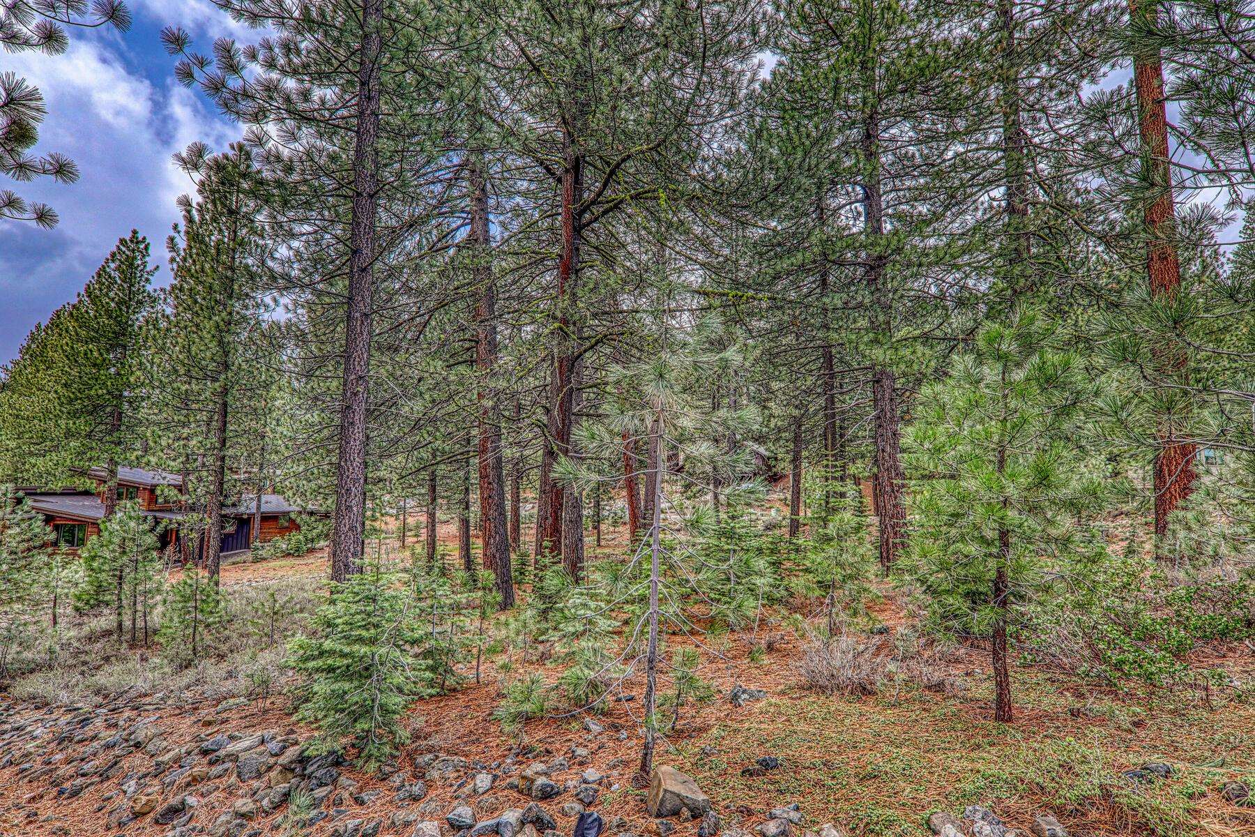 11301 China Camp Road Truckee, CA 96161 - Photo 19 of 23