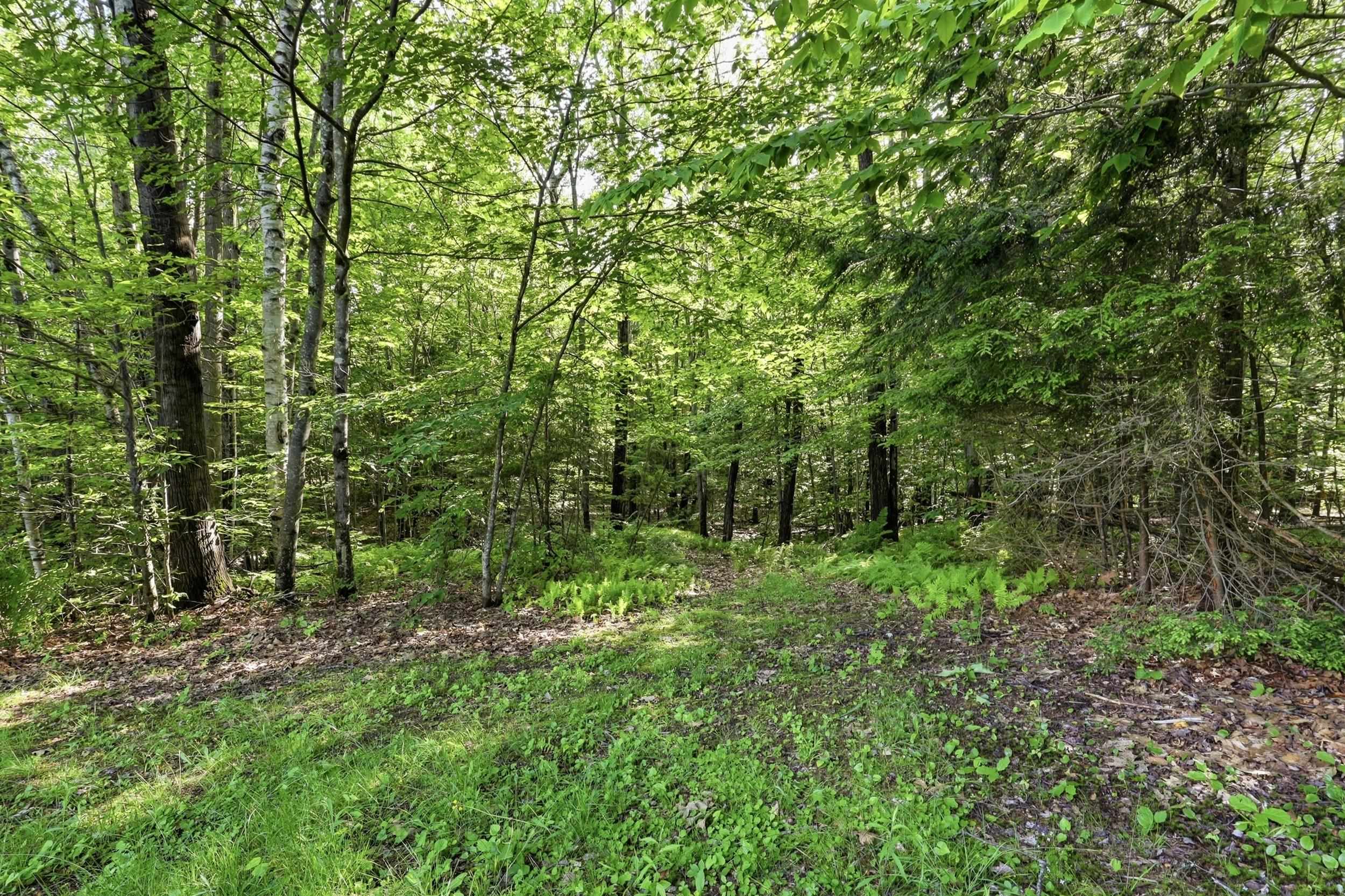 224 King Road Alexandria, NH 03222 - Photo 31 of 39