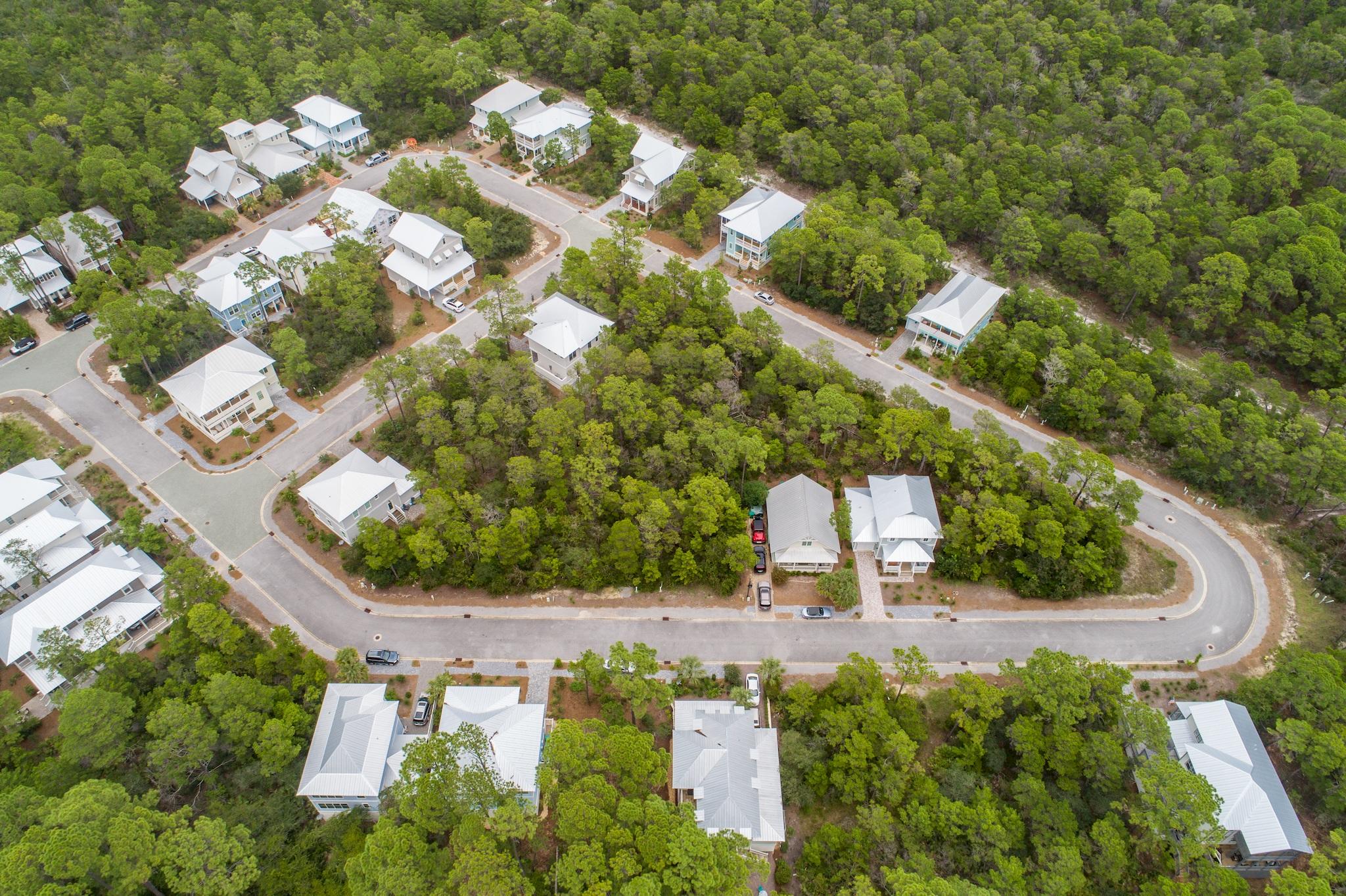 Lot 55 Matt's Way Santa Rosa Beach, FL 32459 - Photo 10 of 16 a view of a garden with plants
