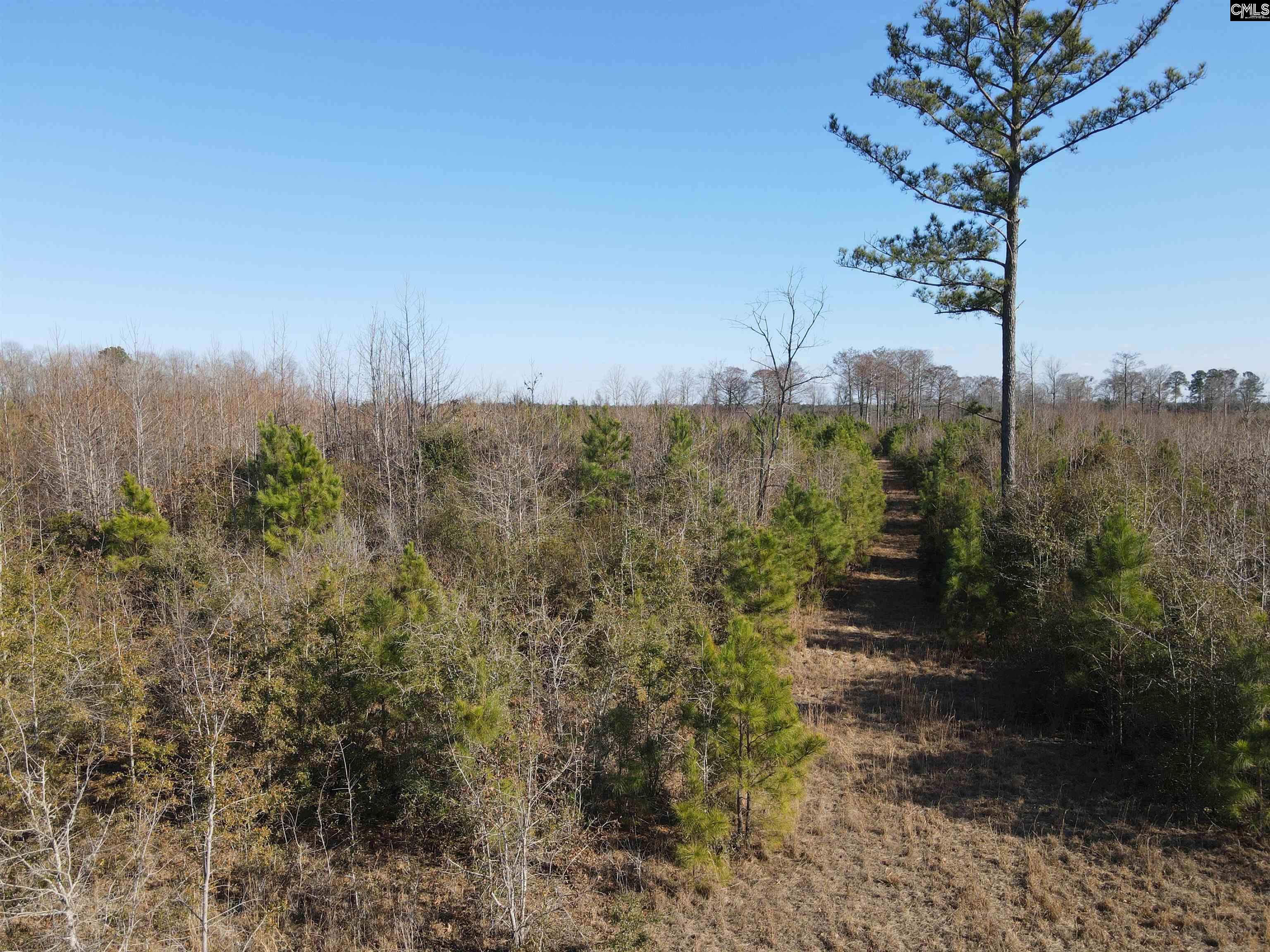0 Proctor Road Cope, SC 29038 - Photo 5 of 11