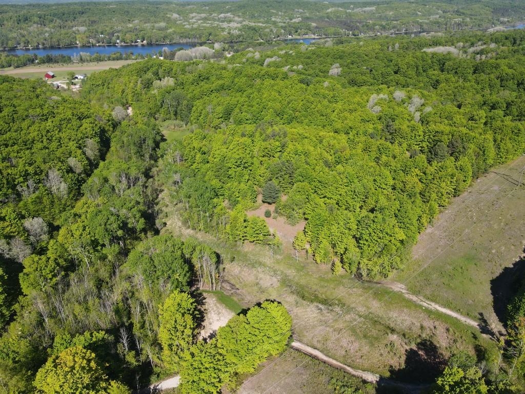 Tbd Pesek Road East Jordan, MI 49727 - Photo 8 of 28