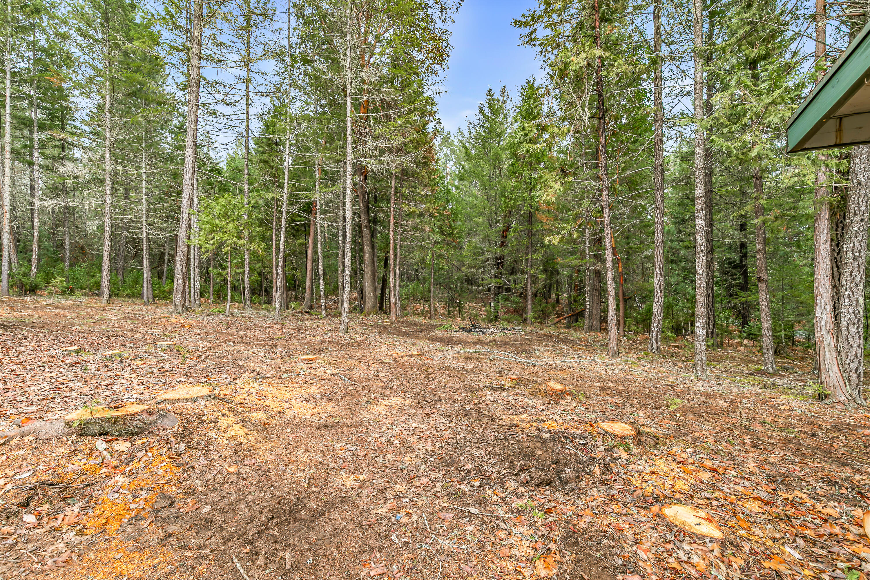 4059 Ditch Creek Road Rogue River, OR 97537 - Photo 51 of 54