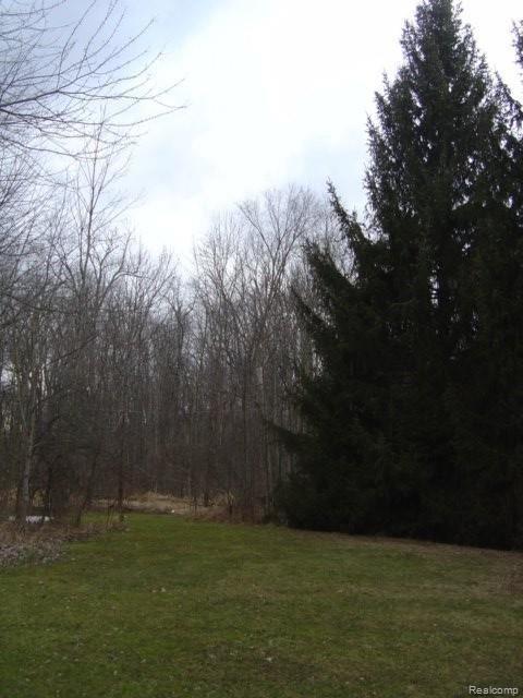 9885 Reese Road Clarkston, MI 48348 - Photo 3 of 24 OVER 7 INSPIRING ACRES