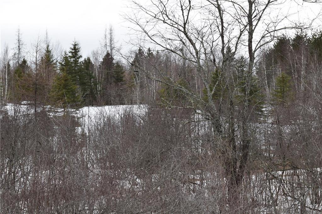 On Old Patten Road Island Falls, ME 04747 - Photo 10 of 19 Maine Land for Sale in Island Falls,...