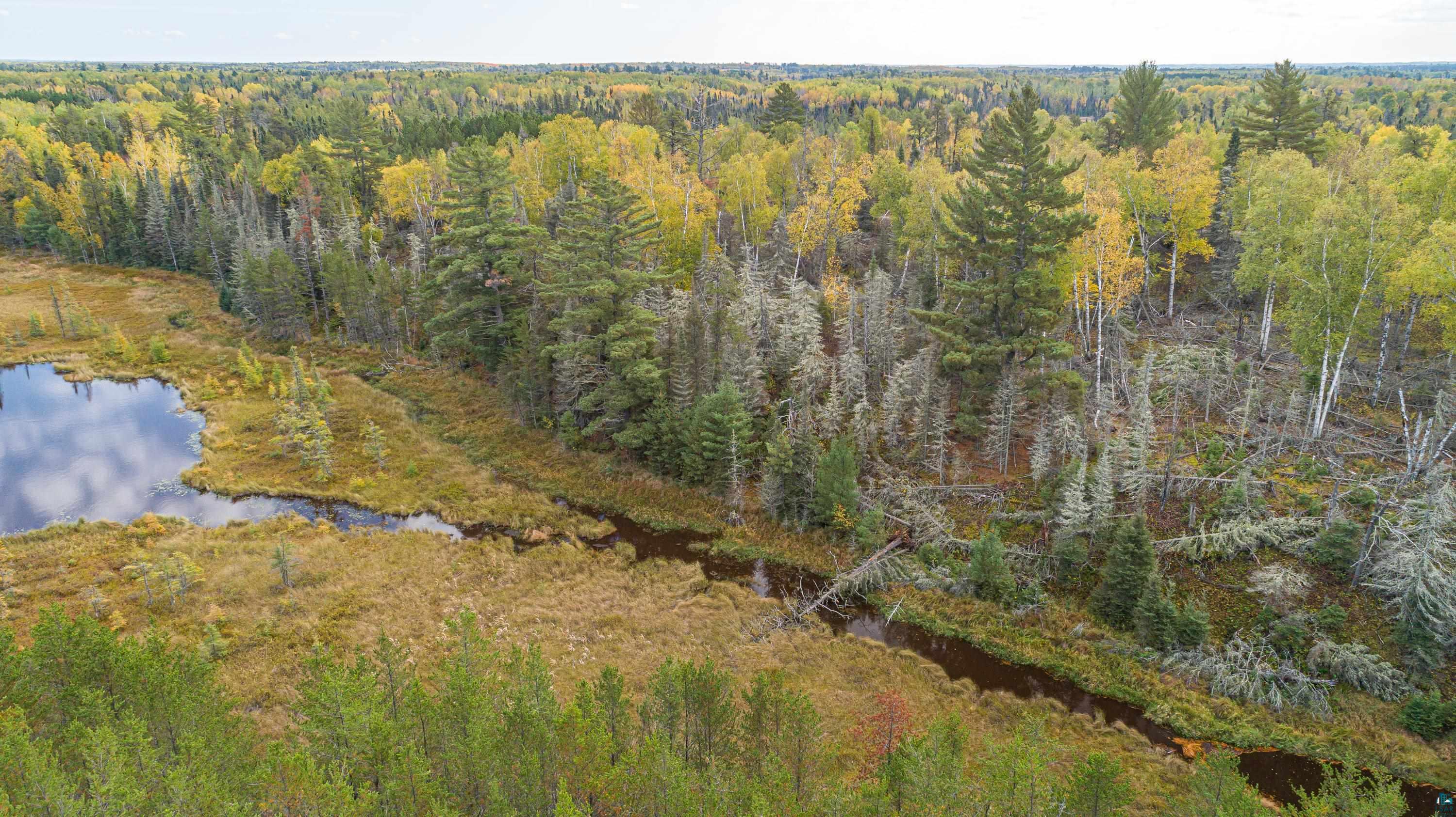 8999 Birch Lake Road Ely, MN 55731 - Photo 13 of 26 Gallery Image 13