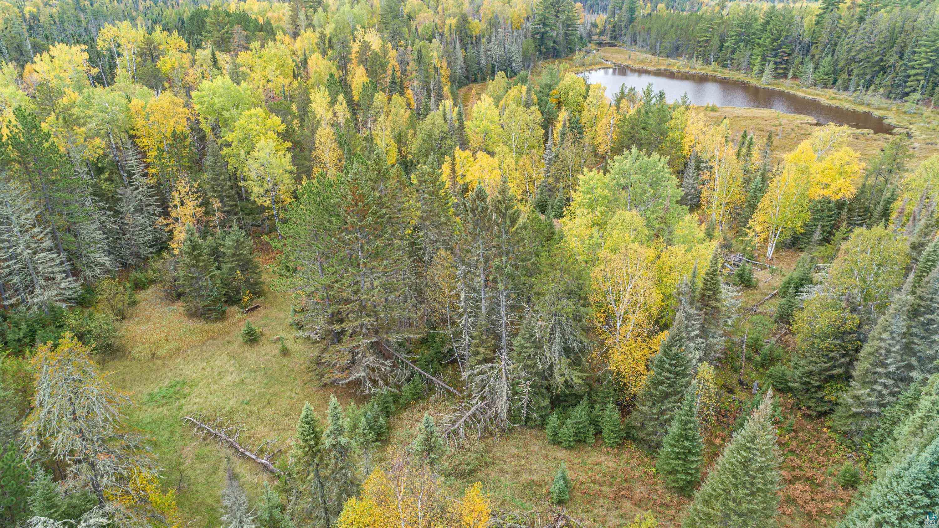 8999 Birch Lake Road Ely, MN 55731 - Photo 18 of 26 Gallery Image 18