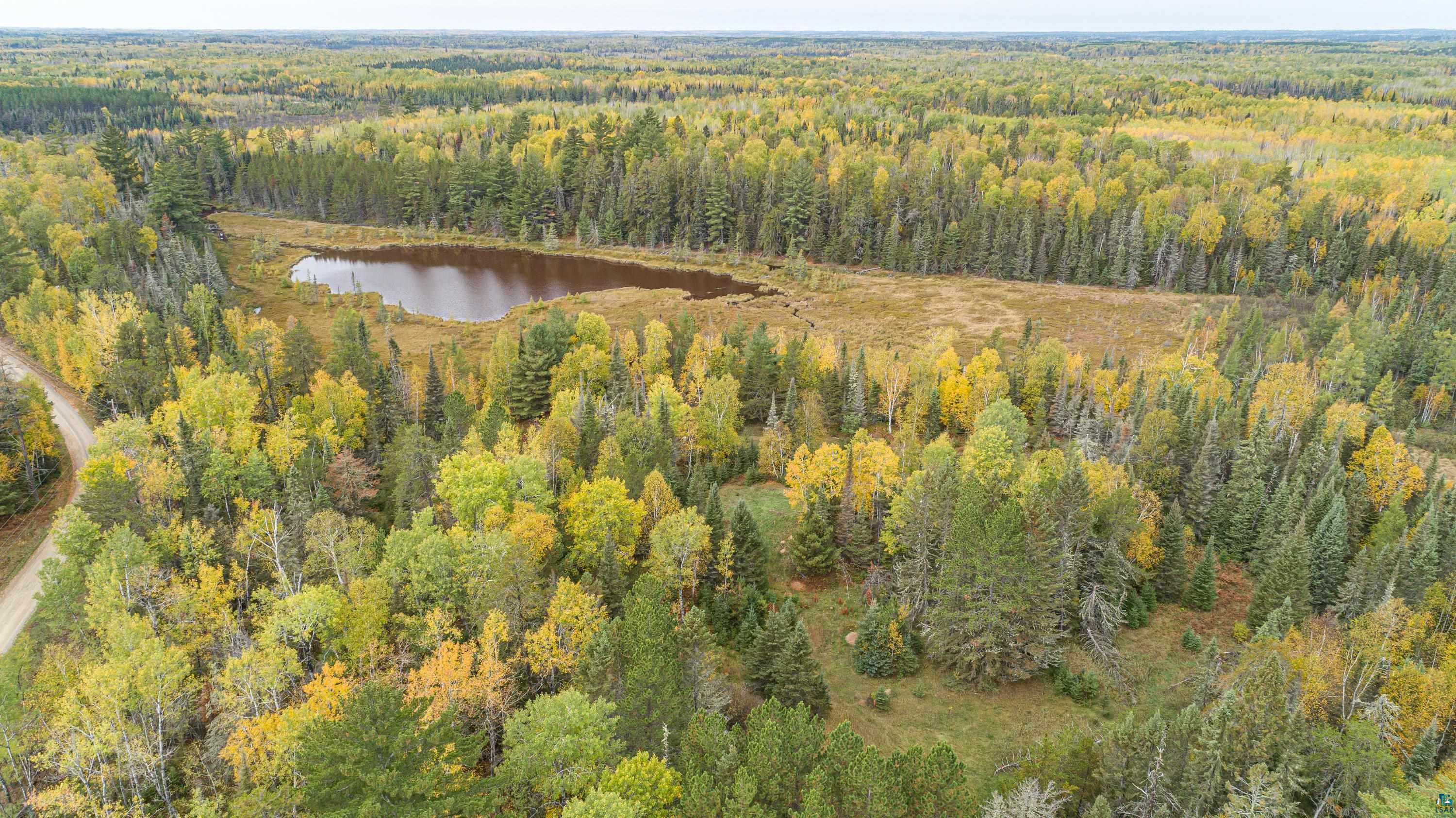 8999 Birch Lake Road Ely, MN 55731 - Photo 3 of 26 Gallery Image 3