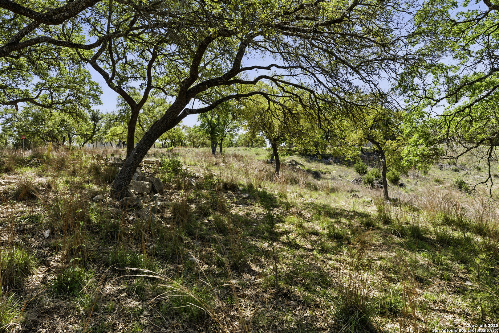 0 Tbd Canyon Lake, TX 78133 - Photo 5 of 25