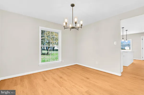 a living room with furniture potted plant and a lamp