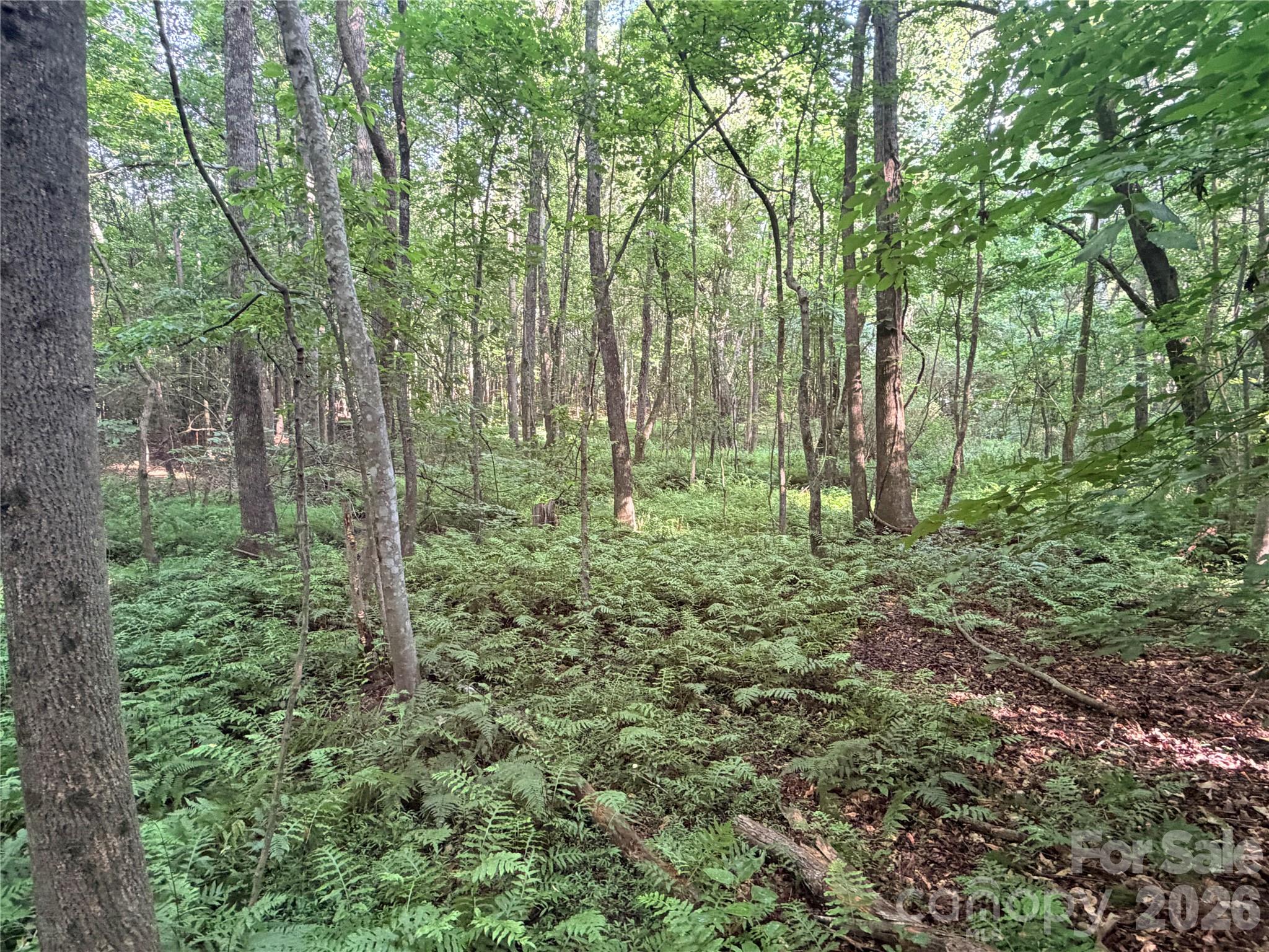 Lot 3 Schenck Farm Road Lawndale, NC 28090 - Photo 10 of 13