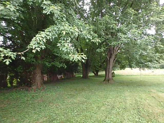 420 Rock Run Road Elizabeth, PA 15037 - Photo 21 of 23 Gallery Image 21