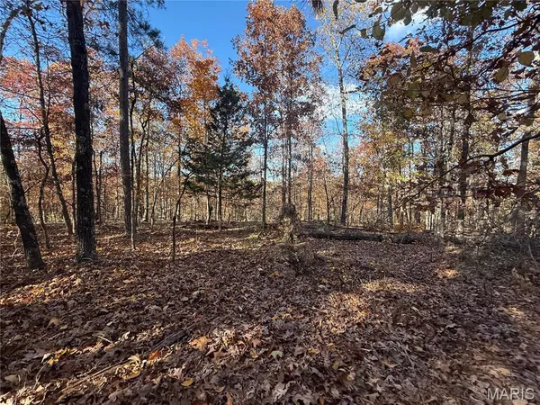 $35,000 | 0 Madison Street, Silva, MO 63964