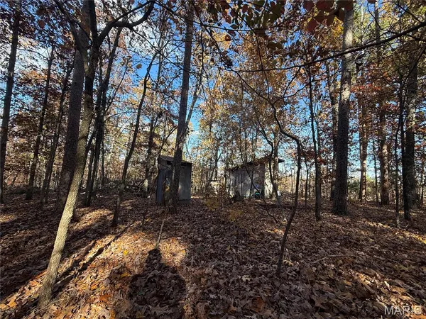 $35,000 | 0 Madison Street, Silva, MO 63964