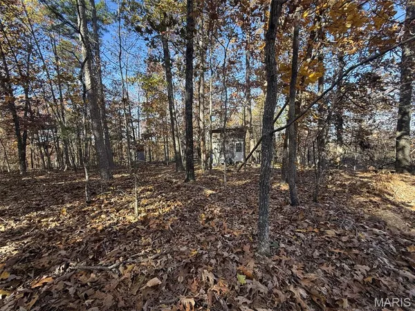 $35,000 | 0 Madison Street, Silva, MO 63964