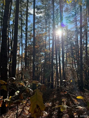 $35,000 | 0 Madison Street, Silva, MO 63964